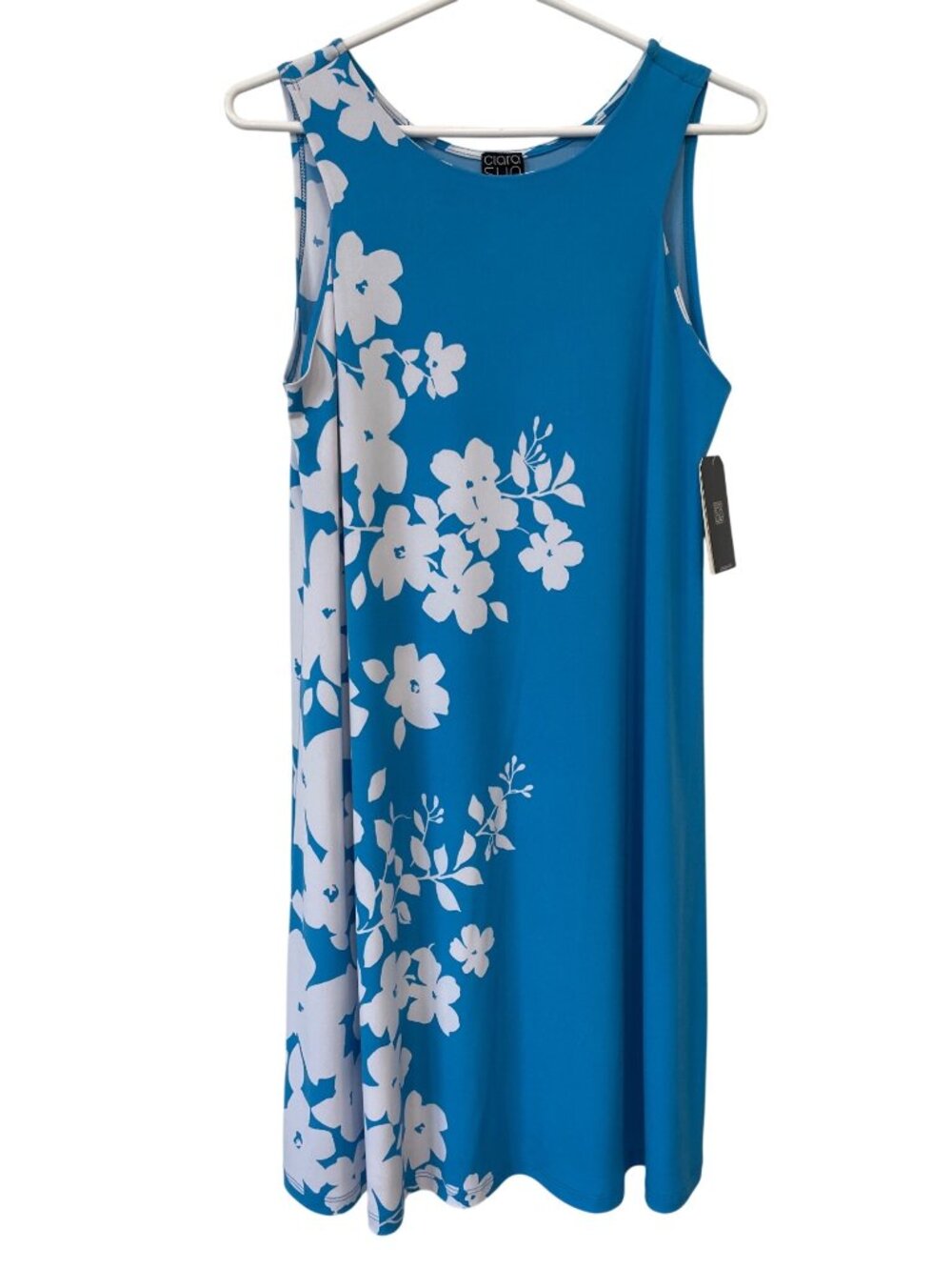Clara Sunwoo A-Line Shift Dress XS Floral Sleeveless Blue White Cottage Boho NEW